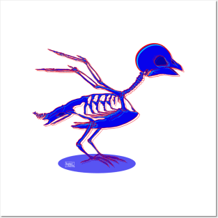 Bird Skeleton Posters and Art